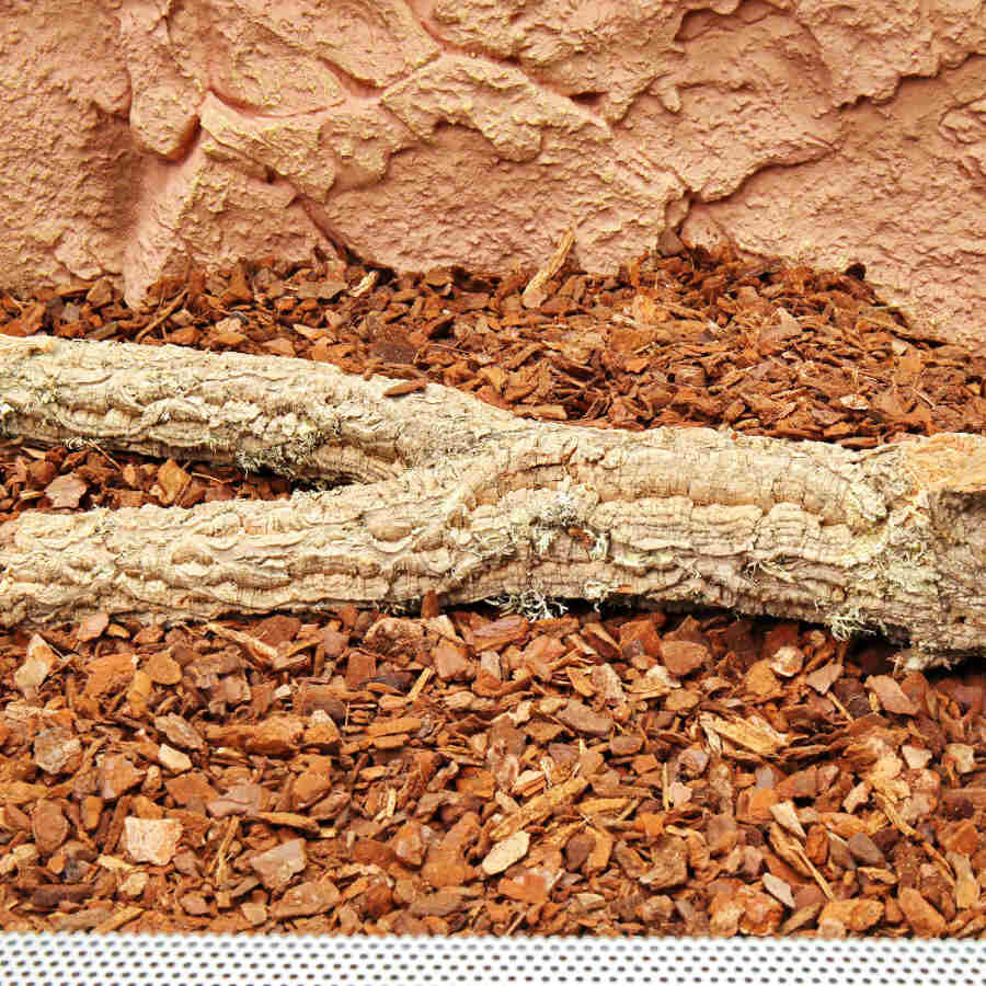 JBL Terra Bark Sustrato de Corteza de Pino para terrarios, , large Imagen numero 4